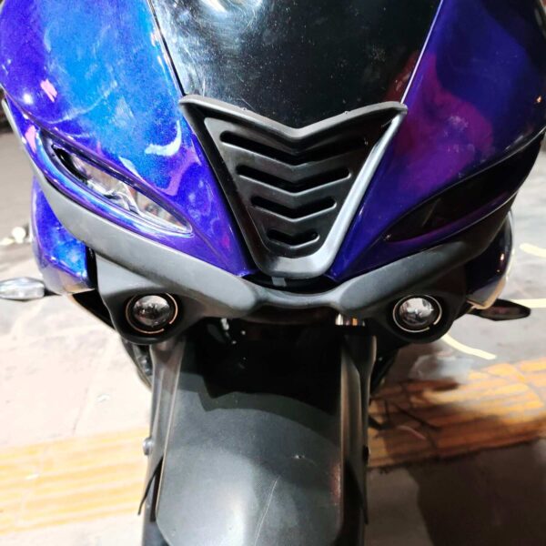 Wild Mask for R15 V3