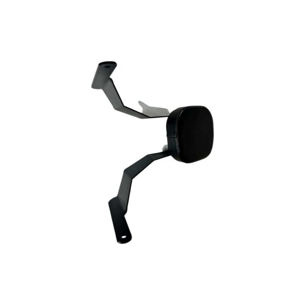 BACK REST for Harley-Davidson X440